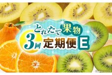 とれたて果物 3回定期便E 果物 フルーツ 果物定期便 フルーツ定期便 定期便 キウイ デコポン濃厚 旬の果物 定期 人気 おすすめ 贈答 贈り物 青果物 糖度 香川県 _mk165-t069
