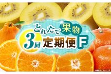 とれたて果物 3回定期便F 果物 フルーツ 果物定期便 フルーツ定期便 定期便キウイ デコポンみかん 濃厚 旬の果物 定期 人気 おすすめ 贈答 贈り物 青果物 糖度 香川県 _mk165-t070