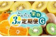 とれたて果物 3回定期便G 果物 フルーツ 果物定期便 フルーツ定期便 定期便 キウイ デコポン 濃厚 旬の果物 定期 人気 おすすめ 贈答 贈り物 青果物 糖度 香川県 _mk165-t071