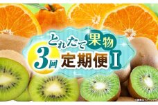 とれたて果物 3回定期便I 果物 フルーツ 果物定期便 フルーツ定期便 定期便キウイ デコポン濃厚 旬の果物 定期 人気 おすすめ 贈答 贈り物 青果物 糖度 香川県 _mk165-t073