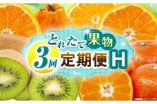 とれたて果物 3回定期便H 果物 フルーツ 果物定期便 フルーツ定期便 定期便キウイデコポンみかん 濃厚 旬の果物 定期 人気 おすすめ 贈答 贈り物 青果物 糖度 香川県 _mk165-t072