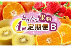 とれたて果物 4回定期便B 果物 フルーツ 果物定期便 フルーツ定期便 定期便 いちご キウイ デコポン みかん 濃厚 旬の果物 定期 人気 おすすめ 贈答 贈り物 青果物 糖度 香川県 _mk165-t075