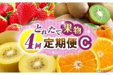 とれたて果物 4回定期便C 果物 フルーツ 果物定期便 フルーツ定期便 定期便 いちご キウイ デコポン濃厚 旬の果物 定期 人気 おすすめ 贈答 贈り物 青果物 糖度 香川県 _mk165-t076