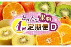 とれたて果物 4回定期便D 果物 フルーツ 果物定期便 フルーツ定期便 定期便 キウイ デコポン みかん 濃厚 旬の果物 定期 人気 おすすめ 贈答 贈り物 青果物 糖度 香川県 _mk165-t077