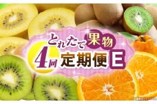 とれたて果物 4回定期便E 果物 フルーツ 果物定期便 フルーツ定期便 定期便 キウイ デコポン濃厚 旬の果物 定期 人気 おすすめ 贈答 贈り物 青果物 糖度 香川県 _mk165-t078