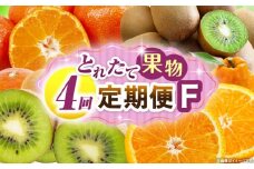 とれたて果物 4回定期便F 果物 フルーツ 果物定期便 フルーツ定期便 定期便キウイ デコポンみかん 濃厚 旬の果物 定期 人気 おすすめ 贈答 贈り物 青果物 糖度 香川県 _mk165-t079
