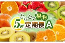 とれたて果物 5回定期便A 果物 フルーツ 果物定期便 フルーツ定期便 定期便 いちご キウイ デコポンみかん 濃厚 旬の果物 定期 人気 おすすめ 贈答 贈り物 青果物 糖度 香川県 _mk165-t080