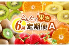 とれたて果物 6回定期便A 果物 フルーツ 果物定期便 フルーツ定期便 定期便 いちご キウイ デコポン みかん 濃厚 旬の果物 定期 人気 おすすめ 贈答 贈り物 青果物 糖度 香川県 _mk165-t083