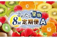 とれたて果物 8回定期便A 果物 フルーツ 果物定期便 フルーツ定期便 定期便 いちご キウイ デコポンみかん 濃厚 旬の果物 定期 人気 おすすめ 贈答 贈り物 青果物 糖度 香川県 _mk165-t084