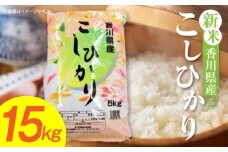 【令和7年産】香川県産こしひかり 15kg（紙袋配送）|新米 コシヒカリ こしひかり 15kg 米 白米 ごはん ご飯 朝食 白ご飯 おにぎり お弁当 おむすび お米 国産 美味しい ツヤ モチモチ 精米 おすすめ 香川県 三木町 |_mk132-110-03