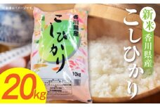 【令和7年産】香川県産こしひかり 20kg（紙袋配送）|新米 コシヒカリ こしひかり 20kg 米 白米 ごはん ご飯 朝食 白ご飯 おにぎり お弁当 おむすび お米 国産 美味しい ツヤ モチモチ 精米 おすすめ 香川県 三木町 |_mk132-110-04