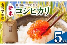 【令和7年産】香川県三木町産コシヒカリ5kg　≪IDOMALLセレクト≫ |新米 令和7年度産 先行予約 先行受付 数量限定 コシヒカリ 米 コメ こめ お米 5kg 国産 白米 精米 香川県 三木町 ご飯 白飯 おにぎり おいしい おすすめ 人気|_mk048-013-01