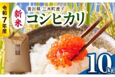 【令和7年産】香川県三木町産コシヒカリ10kg　≪IDOMALLセレクト≫ |新米 令和7年度産 先行予約 先行受付 数量限定 コシヒカリ 米 コメ こめ お米 10kg 国産 白米 精米 香川県 三木町 ご飯 白飯 おにぎり おいしい おすすめ 人気|_mk048-013-02