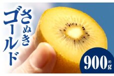 キウイ　鮮やか黄金に輝く　ゴールドキウイ 約900g  | 果物 フルーツ さぬきゴールド キウイ キウイフルーツ フレッシュ ジューシー 香り 爽やか 旬の果物 人気 おすすめ 贈答 贈り物 青果物 糖度 香川県 三木町 |_mk165-016