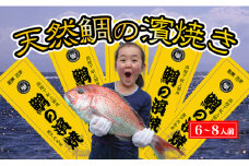 瀬戸内海産 天然鯛の浜焼き8～10人前