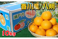完熟の八朔約10kgの詰め合わせ