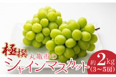 極撰！丸亀市の「シャインマスカット」約2kg（3～5房）