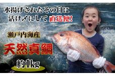 【朝獲れ直送便】天然鯛を丸ごと1匹 中サイズ 【下処理なし】