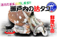 瀬戸内海産 水揚げされたばかりの活タコ 1kg