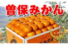 完熟厳選の曽保みかん約5kg