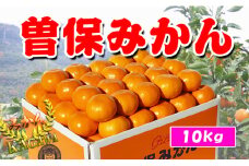 完熟厳選の曽保みかん約10kg