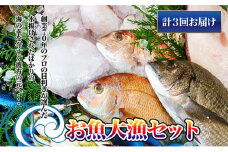 ［頒布会3回］瀬戸内海産の海産物の詰め合わせ（下処理アリ）