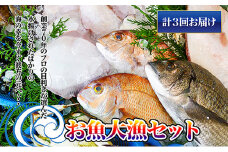 ［頒布会3回］瀬戸内海産の海産物の詰め合わせ（下処理ナシ）