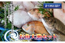 ［頒布会6回］瀬戸内海産の海産物の詰め合わせ（下処理アリ）