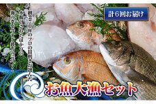 ［頒布会6回］瀬戸内海産の海産物の詰め合わせ（下処理ナシ）