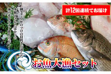 ［頒布会12回］瀬戸内海産の海産物の詰め合わせ（下処理アリ）