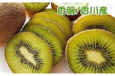 香川産のオリジナル品種キウイフルーツ［香緑］約3.5㎏