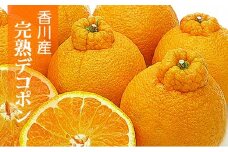香川県産あま～いデコポン［不知火］約4.5kg