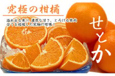【ご家庭用】話題の人気品種［せとか約4.5kg］の詰め合わせ