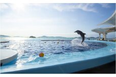 四国水族館　＜大人＞ペア入館券