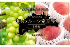 【2024年先行予約】夏のフルーツ定期便（桃・シャインマスカット2回便）
