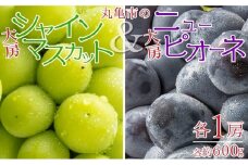 大房シャインマスカット＆大房ニューピオーネ　各1房（各約600g）