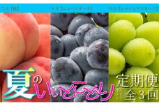 夏のいいとこどり定期便【全3回】 果物 桃 ぶどう フルーツ 果汁 甘い 濃厚 風味 種なし マスカット ジューシー 人気 セット 詰合せ