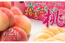 特秀品！飯山の桃　約2kg