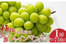 極撰！丸亀市の「大房シャインマスカット」1房（約750g） 果物 デザート ぶどう フルーツ 輝く 高糖度 風味 重宝 美味しい 甘い	