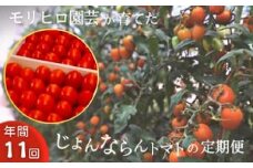 モリヒロ園芸が育てたじょんならんトマトの定期便（年間11回）