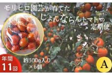 モリヒロ園芸が育てたじょんならんトマトの定期便A 約300g×6個入り（年間11回）