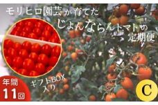 モリヒロ園芸が育てたじょんならんトマトの定期便C ギフトボックス入り（年間11回）