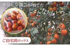 モリヒロ園芸が育てたじょんならんトマト（ご自宅用ボックス）