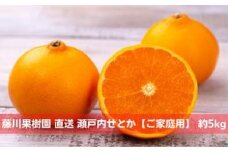 数量限定  瀬戸内せとか 約5kg【ご家庭用】