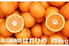 はれひめ　約3kg 　