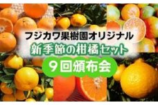 【9回頒布会】フジカワ果樹園オリジナル・新季節の柑橘セット