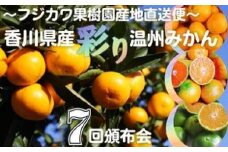 【7回頒布会】～フジカワ果樹園産地直送便～香川県産・彩り温州みかんセット