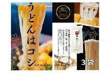 情熱うどん 荒木伝次郎 半生うどん 300g 3袋 900g (6～9人前) 本格 讃岐うどん ふるさと納税 うどん 本場の味 饂飩 お取り寄せ 伝統製法 麺 ミシュラン ビブグルマン 香川 宇多津