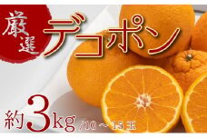 厳選！ぷりっぷり果肉♪濃厚甘味「デコポン」　約3kg
