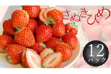 さぬき姫いちご　12パック(1パック約250g)